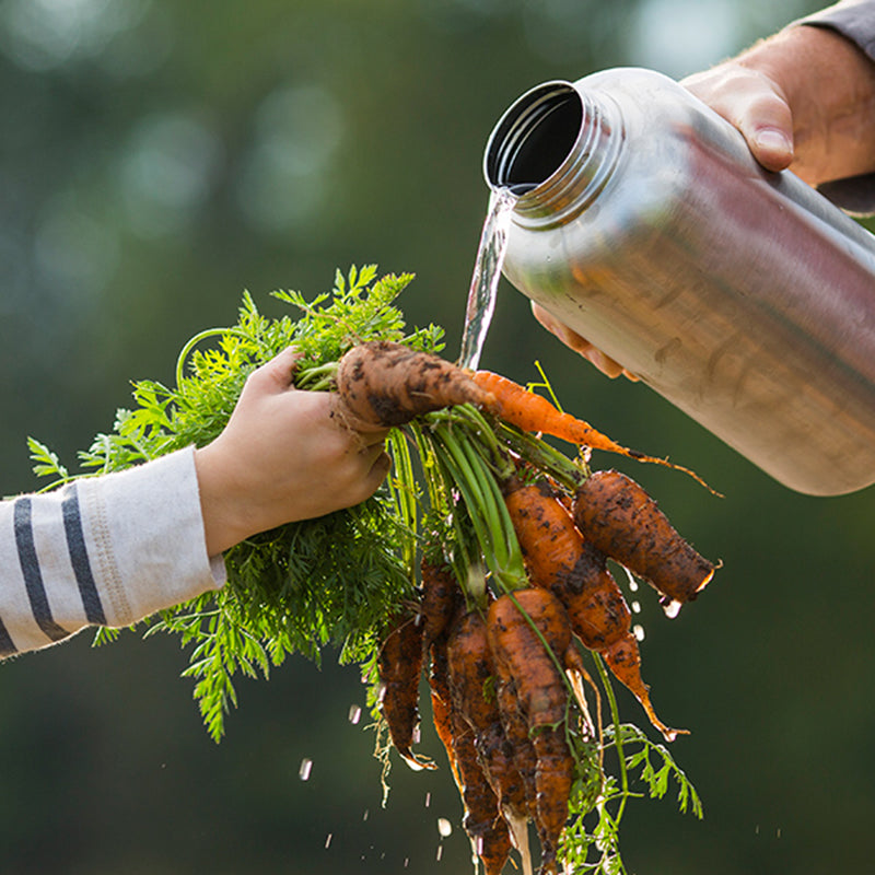 64oz-wide-with-loop-cap-g3 64oz_wide_mouth_bottle_carrots_rinse_square.jpg
