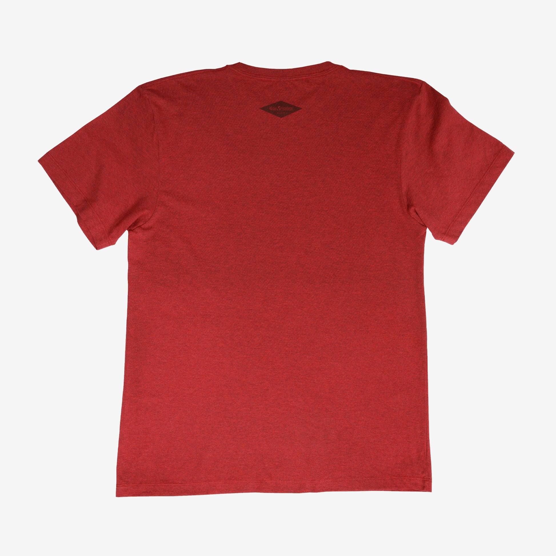 backyard-t-shirt-t8 Shirt_Mtn_Back.jpg